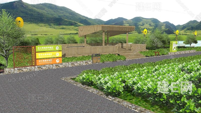 农业合作社如何助力农户风险防控**