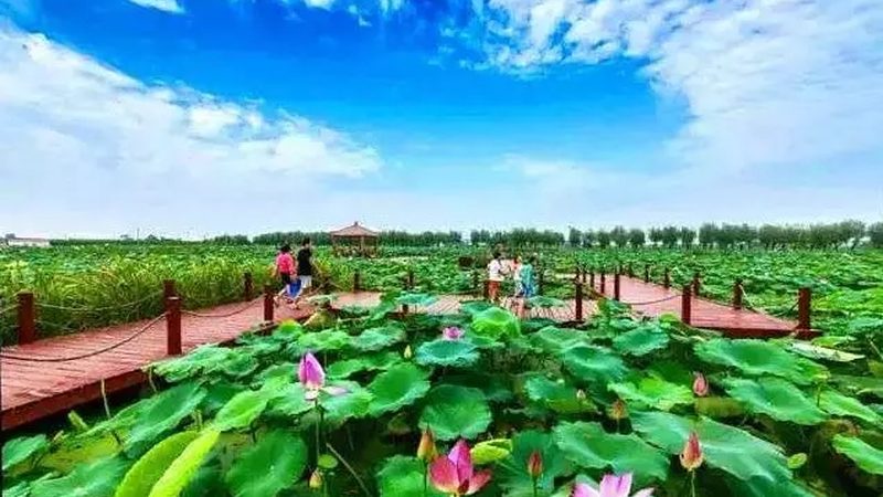 农业产业园配套设施造价，别让预算失控在看不见的地方