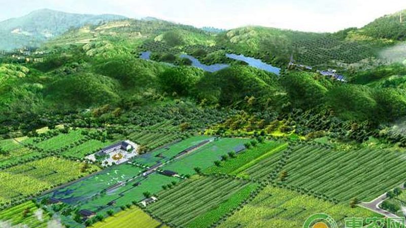 大棚种植成本解析：一亩多少钱的真相**