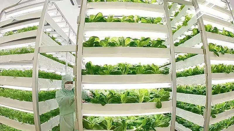 成都蔬菜配送报价清单：揭秘蔬菜配送背后的成本与价值