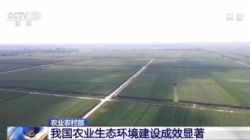 粮食种植深加工项目：五大关键注意事项
