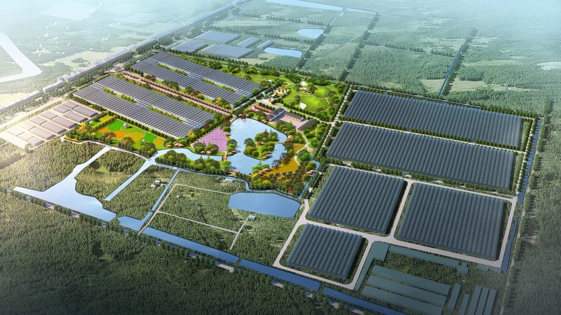 2025年全国农产品批发市场展会排期怎么看