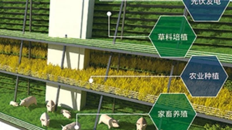 农资批发合作，如何构建稳固的合作关系？**