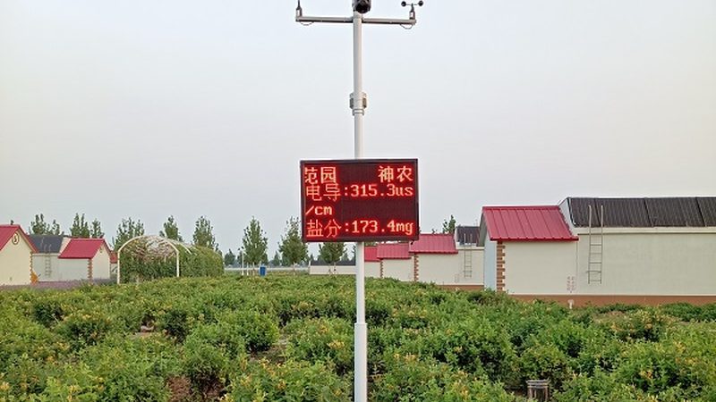 蓝莓园里看不见的节水账