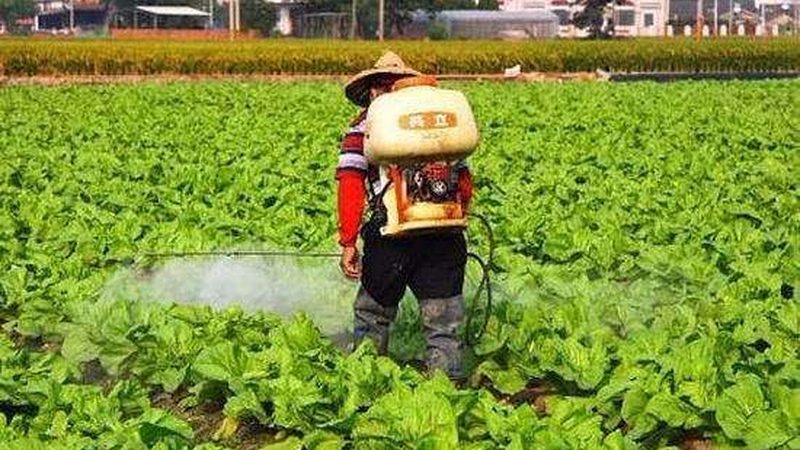 农产品配送成本核算：如何精准把控每一分钱